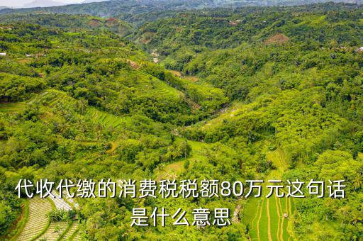 代扣代繳稅額是什么，代扣稅屬于什么稅