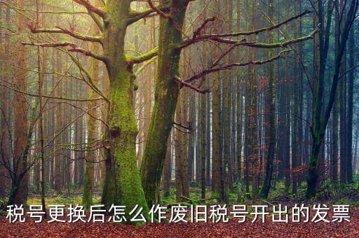 變稅號需要做什么，稅號更換后怎么作廢舊稅號開出的發(fā)票