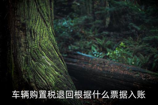 車輛購(gòu)置稅退回根據(jù)什么票據(jù)入賬