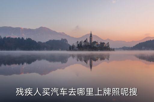 殘疾人買(mǎi)汽車(chē)去哪里上牌照呢搜