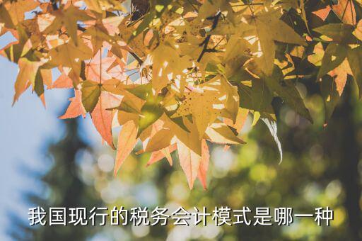 我國稅制模式是什么，我國的個稅方式是什么