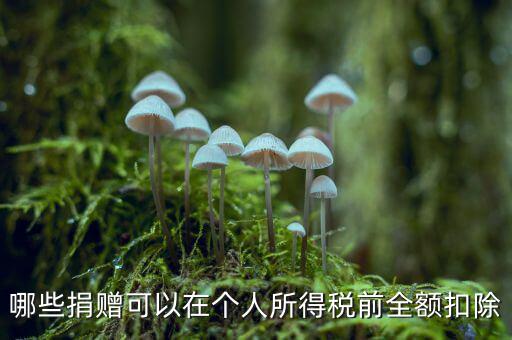 什么捐贈可以稅前扣除，求助企業(yè)在所得稅前可以扣除的捐贈支出
