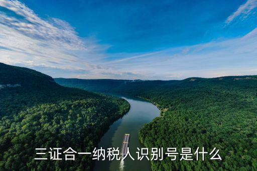 三證合一稅務(wù)識(shí)別號(hào)是什么，三證合一后納稅人識(shí)別號(hào)是什么意思