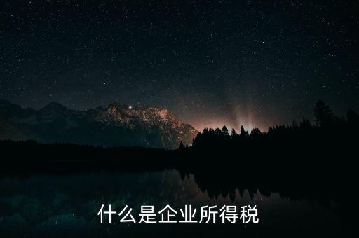 企業(yè)所得稅是什么，所得稅是什么