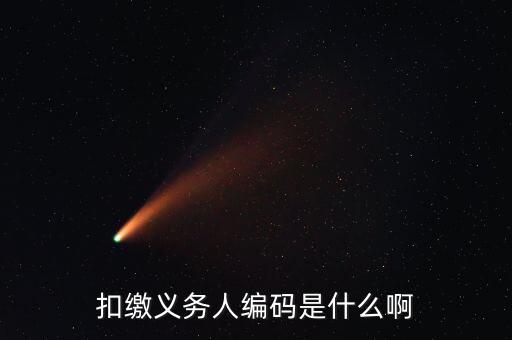 江西扣繳義務(wù)人編碼是什么，扣繳義務(wù)人編碼是什么號它和納稅人識別號是一個(gè)號嗎