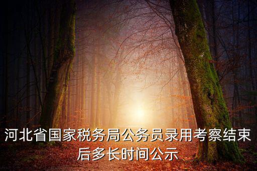 國稅一般什么時候公示，河北省國家稅務(wù)局公務(wù)員錄用考察結(jié)束后多長時間公示