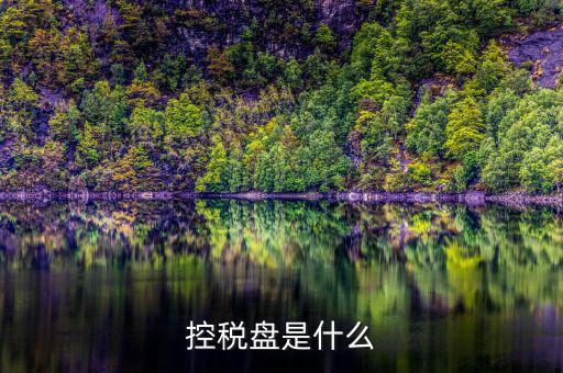 什么是金稅盤 什么是稅控盤，稅控盤的介紹