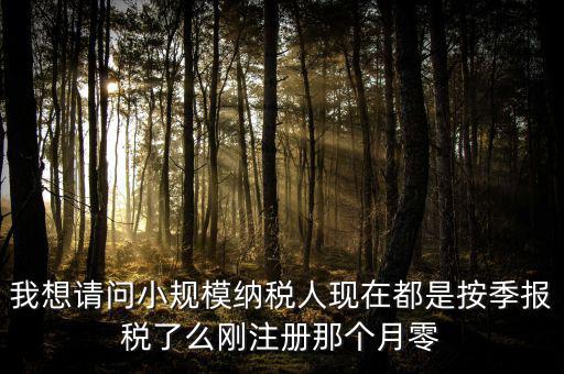 小規(guī)模什么時(shí)候零申報(bào)，增值稅小規(guī)模納稅人免稅零申報(bào)的歸屬期間