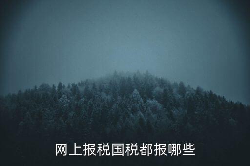 國稅云辦稅廳都報(bào)什么，你好我是新手我想問一下前輩國稅每月季年都報(bào)什么報(bào)表