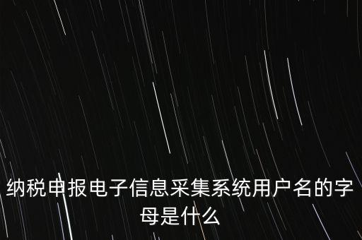 江蘇國稅電子稅務(wù)局登錄用戶名是什么意思，江蘇國稅網(wǎng)上辦稅服務(wù)廳的用戶名是什么