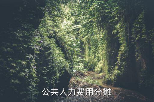 機(jī)關(guān)費(fèi)用按時什么分?jǐn)?，公共人力費(fèi)用分?jǐn)?/></a></span><span id=