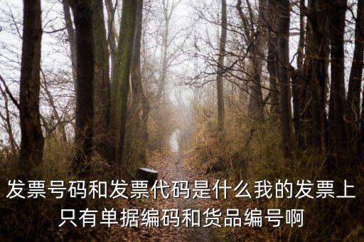發(fā)票結(jié)存號碼是什么，發(fā)票號碼是指哪個號碼