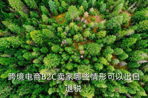 什么情況退稅，跨境電商B2C賣(mài)家哪些情形可以出口退稅