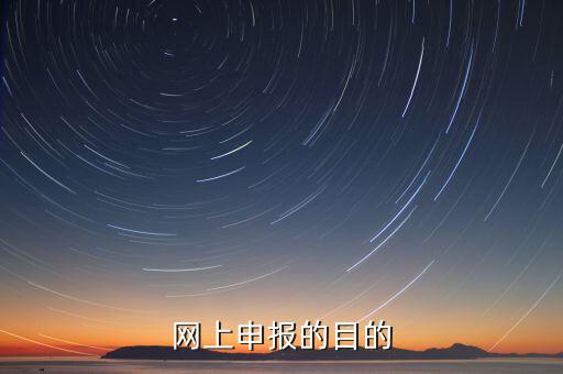 電子化辦稅什么意思，網(wǎng)上申報的目的