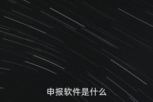 增值稅申報用什么軟件，申報軟件是什么