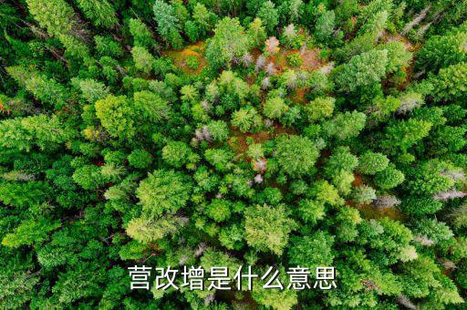 什么是營改增發(fā)票，營改增是什么意思