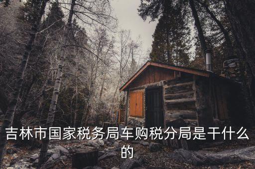 車購稅局主要干什么，新車去地稅局干什么