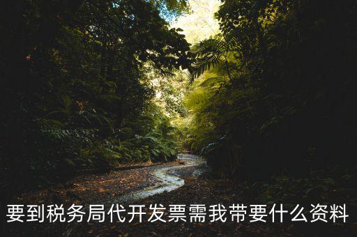 去稅務(wù)局開(kāi)票需要帶什么資料，去稅務(wù)局開(kāi)票的話需要帶什么材料呢