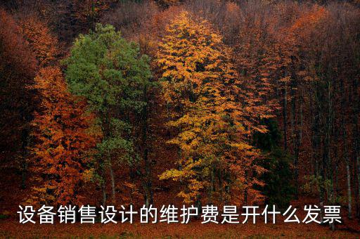 開(kāi)票維護(hù)費(fèi)是什么，設(shè)備銷售設(shè)計(jì)的維護(hù)費(fèi)是開(kāi)什么發(fā)票