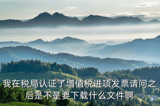 增值稅需要什么軟件下載，增值稅一般納稅人要用哪種管家婆財(cái)務(wù)軟件