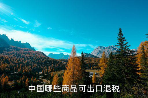 什么商品可以出口退稅，哪些產(chǎn)品可享受出口退稅
