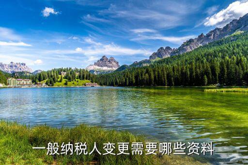 變更報(bào)稅人需要帶什么，公司變更納稅人需要帶什么材料