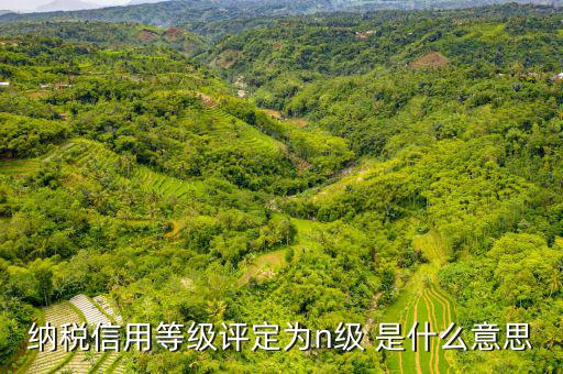 納稅信用等級b級是什么意思，納稅信用等級評定為n級 是什么意思