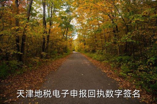 天津地稅自查表是什么，天津地稅電子申報(bào)回執(zhí)數(shù)字簽名
