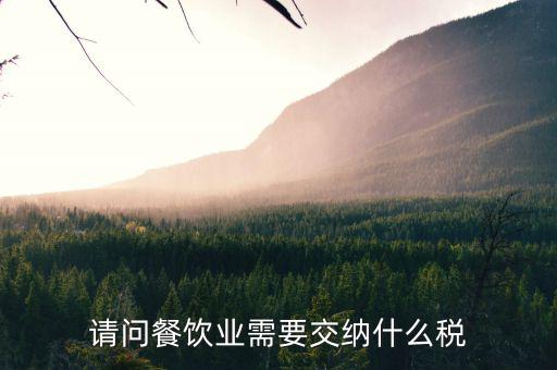 餐飲業(yè) 公司 交什么稅，餐飲企業(yè)繳納哪些稅
