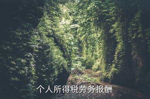 個(gè)稅什么情況勞務(wù)報(bào)酬，有關(guān)個(gè)稅勞務(wù)報(bào)酬