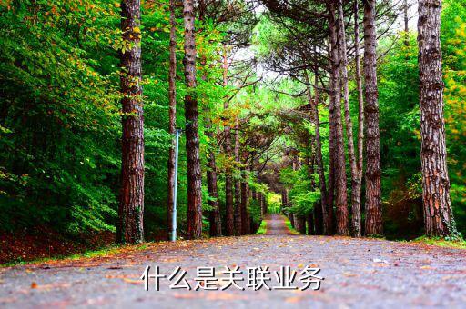 什么叫關(guān)聯(lián)業(yè)務(wù)，什么是企業(yè)年度關(guān)聯(lián)業(yè)務(wù)往來