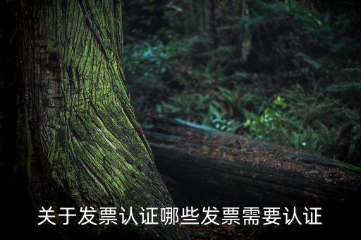 發(fā)票通過(guò)什么認(rèn)證嗎，關(guān)于發(fā)票認(rèn)證哪些發(fā)票需要認(rèn)證