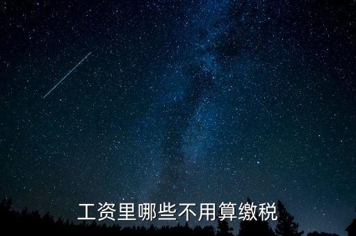 什么所得不用上稅，哪些類型的工資薪金所得不用納稅