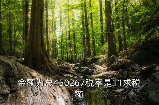 11 是什么稅率，招標(biāo)文件稅率為人工費(fèi)11是什么意思