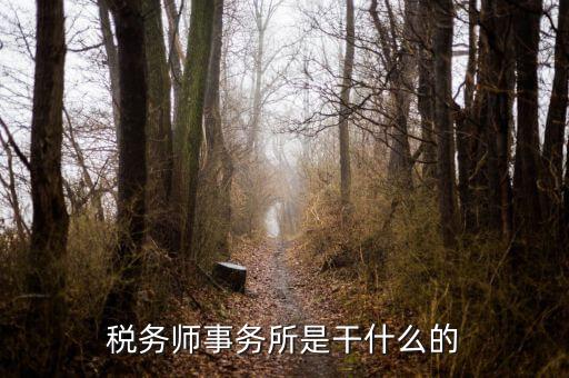 稅務(wù)師事務(wù)所 外勤是做什么的，稅務(wù)師事務(wù)所是干什么的