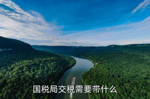 稅務(wù)局交稅都帶什么，去稅務(wù)局打增值稅稅單都帶什么