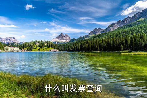 發(fā)票查驗(yàn)單是什么意思，簡(jiǎn)述什么是發(fā)票檢查