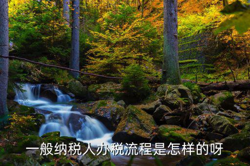 什么是正常辦稅，一般納稅人辦稅流程是怎樣的呀