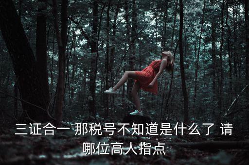 三證合一后的發(fā)票稅號(hào)是什么意思，三證合一 那稅號(hào)不知道是什么了 請(qǐng)哪位高人指點(diǎn)