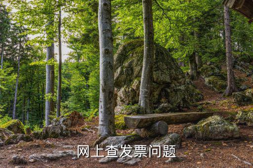 查發(fā)票流向什么意思，網(wǎng)上查發(fā)票問題