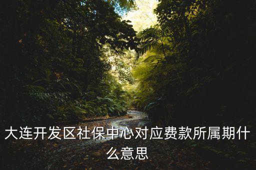 社保所屬期是什么意思，大連開發(fā)區(qū)社保中心對應費款所屬期什么意思