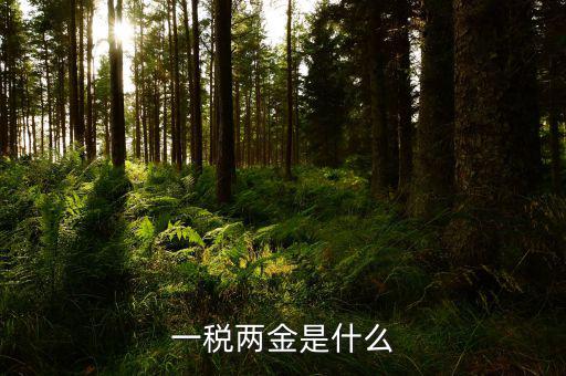 一稅兩費(fèi)什么意思，年度企業(yè)兩費(fèi)是什么