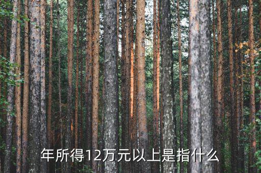 年所得12萬指的是什么意思，年所得12萬元以上是指什么