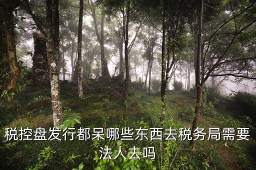 辦理稅控盤去什么地方，稅控盤發(fā)行都呆哪些東西去稅務(wù)局需要法人去嗎