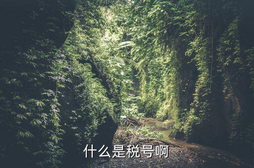 無證合一的稅號(hào)是什么意思，什么叫稅號(hào)