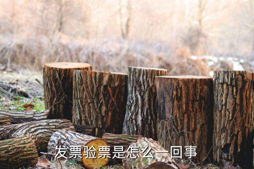 什么是驗(yàn)證發(fā)票嗎，什么叫認(rèn)證增值稅發(fā)票如何認(rèn)證好像還有手工認(rèn)證是怎么回事啊