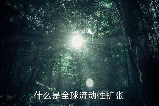 什么叫非居民風(fēng)險(xiǎn)，為什么歐洲央行負(fù)債資金來(lái)源于非居民