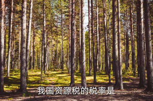 資源稅稅率是什么稅率，資源稅的計(jì)稅依據(jù)是什么稅率是多少