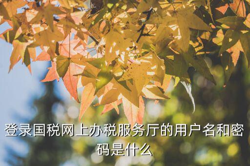 江蘇國稅電子稅務(wù)局登錄用戶名是什么，江蘇國稅網(wǎng)上辦稅服務(wù)廳的用戶名是什么