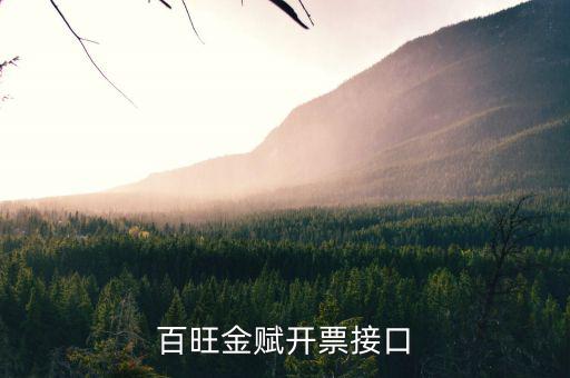 百旺金賦開票碼是什么，百旺金賦現(xiàn)在開票是不是所有的發(fā)票都帶二維碼